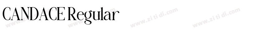 CANDACE Regular字体转换